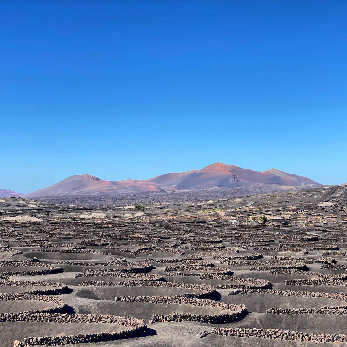 la_geria_and_timanfaya.jpg